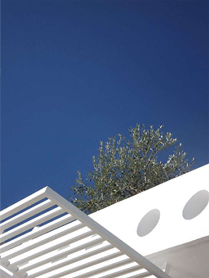 la-cigale-vista-beach-l-esprit-wilmotte