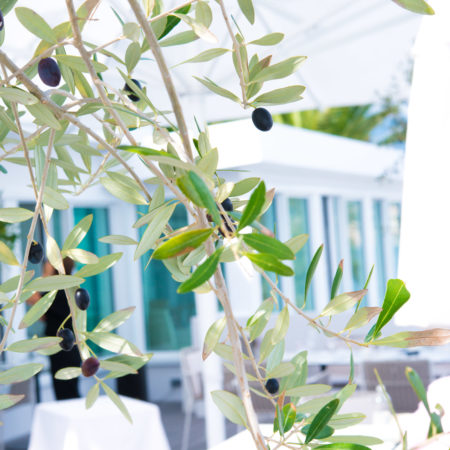 best-restaurants-in-roquebrune-cap-martin-la-cigale-vista-beac